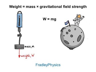 Weight, Mass and Gravity Worksheet