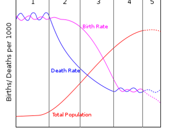 IB DP Environmental Systems & Societies - Presentation Topic 8.1 - Human Population Dynamics