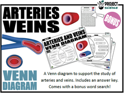 Arteries and Veins Venn Diagram | Teaching Resources