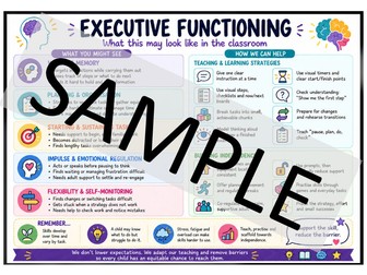 SEND Areas of Learning posters inc Executive Functioning!