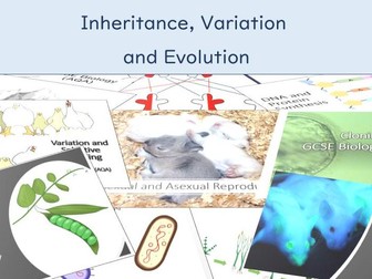 Inheritance, Variation and Evolution (GCSE Biology AQA Topic 6)