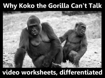 Why Koko the Gorilla Couldn't Talk: video worksheets, differentiated.