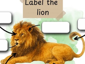 Label the African animal