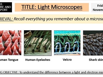 Light Microscopes