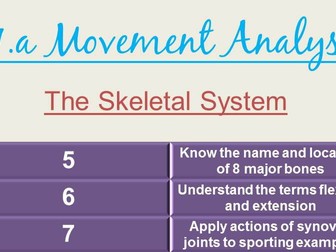 OCR GCSE PE Skeletal System - Joints