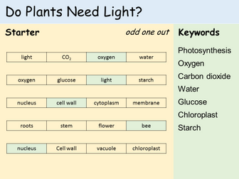 KS3 Plants - Lesson 7 - Do Plants Need Light? (Testing for Starch)