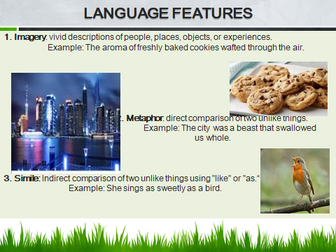 ANALYZING LANGUAGE