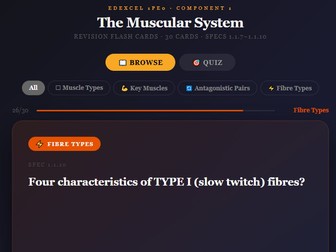 Muscular System | Edexcel GCSE PE | Flash Cards – Interactive + Printable