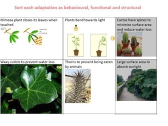 Types of adaptation in plants and animals