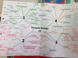 aqa a level biology synoptic essay mark schemes