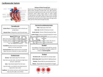 AQA GCSE Revision Booklet