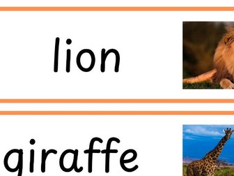 Vocabulary Labels for Africa theme