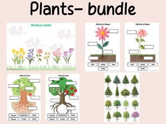 Science- plants bundle- continuous provision