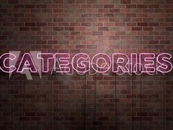 Categories Game - Great for Starters and Plenaries