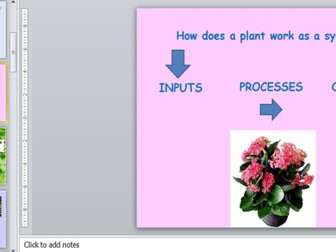 Introduction to Ecosystems lesson