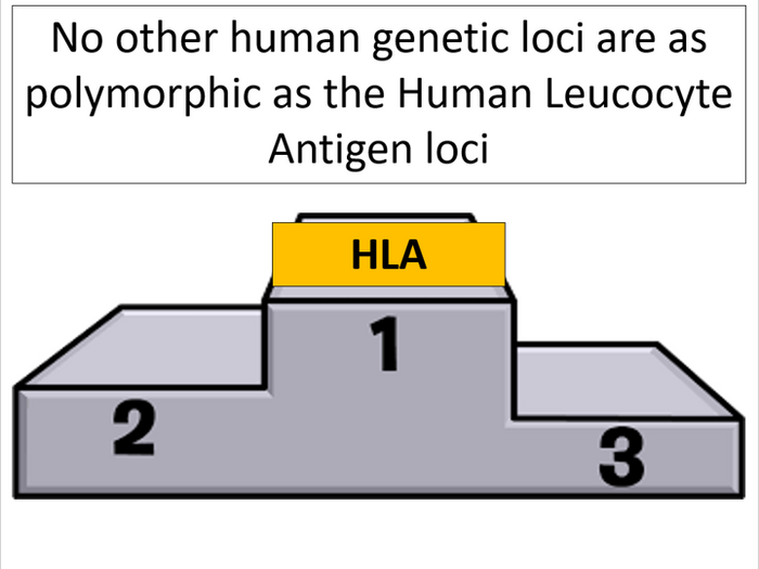 Genetic Diversity (AQA A-level Biology) | Teaching Resources