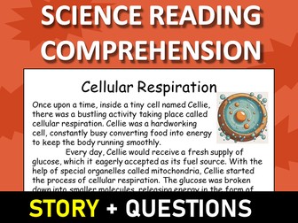 Cellular Respiration Reading Science Story Comprehension Questions Worksheet