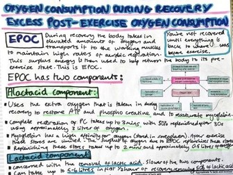 Excess Post-Excess Oxygen Consumption (EPOC)