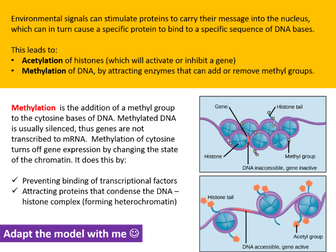 Control of Gene Expression - A complete set of resources for AQA AS/A-Level Biology