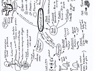 Mindmaps with revision questions for AQA GCSE  biology paper 1