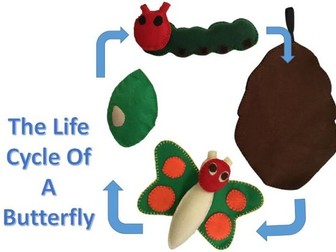 Life Cycle Of A Butterfly Craft