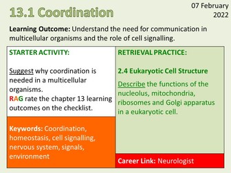 OCR Biology A- Chapter 13 Neuronal Communication