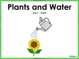 Plants and Water - Year 3