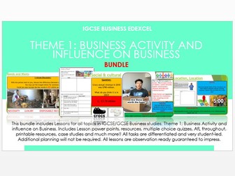 IGCSE Business Edexcel Theme 1 - Business activity and influences on business