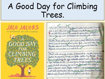 A Good Day for Climbing Trees - Full SOW -  Year 9 Low Ability/SEN English