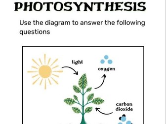 Photosynthesis Worksheet