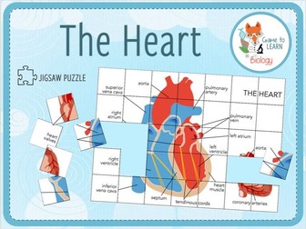 The Heart - Jigsaw Puzzle (KS4)