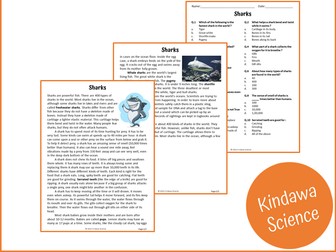 Sharks Reading Comprehension Passage and Questions - PDF