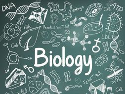 AQA B7 Ecology Revision (Trilogy and Triple/Separate)