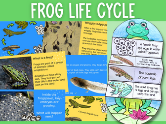 All about frogs presentation and life cycle activity KS1