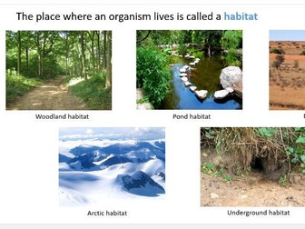 Habitats - Full lesson, powerpoint. Ecology Ecosystems Lesson 1