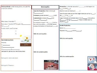 AQA Bioenergetics Foundation Revision Crib Sheet