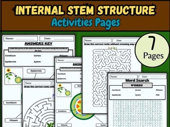 Internal Stem Structure/Plant Stem Diagram/Label a Stem/Vascular Plants