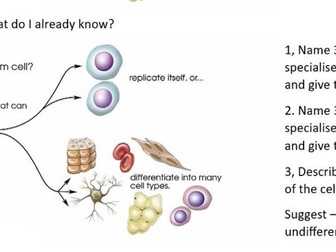stem cell card sort