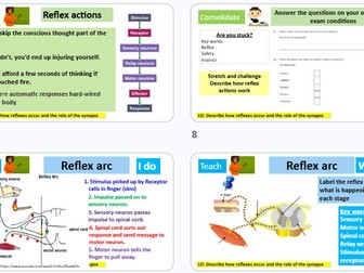 Reflexes GCSE Combined Science AQA