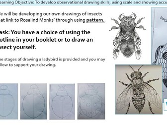 Art Cover Booklet and Lesson Powerpoint - Insect Theme