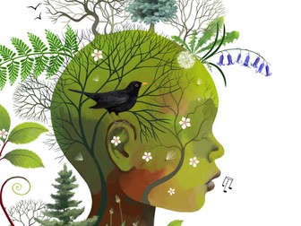 Forest School Practitioner Portfolio