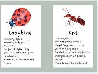 Minibeast Fact Cards