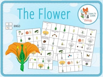 The Flower and Plant Reproduction - Bingo (KS2/3)