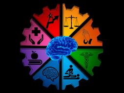 IB Psychology - Core Approaches and exam practice bundle