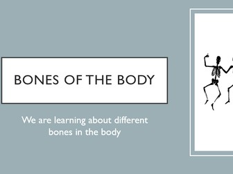 Bones of the Body - PowerPoint and Note Taking