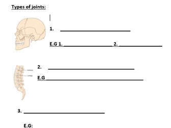 VCERT Health and Fitness student revision booklets