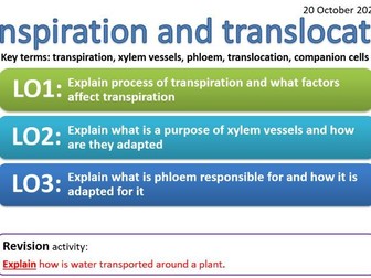 CB6d - Transpiration and translocation - transpiration, xylem, phloem, translocation, companion cell