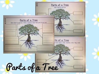 KS1 Parts of a Tree differentiated