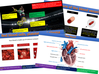 Cardiovascular System - Edexcel GCSE PE (9-1)