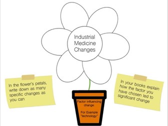 Medicine Flower diagram: Changes in Medicine